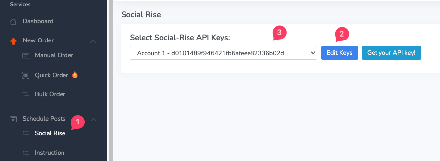 enter social rise API key on Panel enter social rise API key on Panel