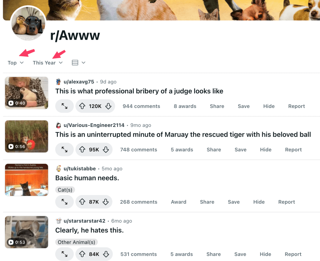 learn from top posts learn from top posts